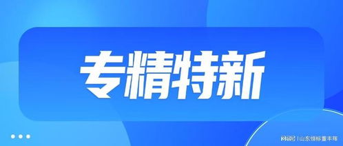 山東企業(yè)申請ITSS信息技術(shù)服務(wù)標(biāo)準(zhǔn)（運(yùn)行維護(hù)）認(rèn)證的必備條件與流程詳解